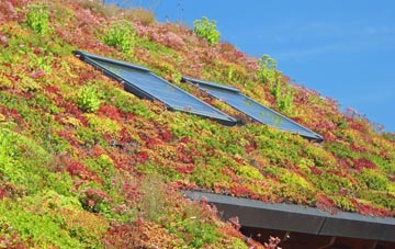 Riof living roof systems