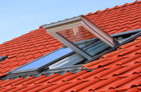 Riof roof window